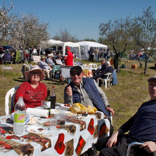 Almendro en flor 2026 (32)